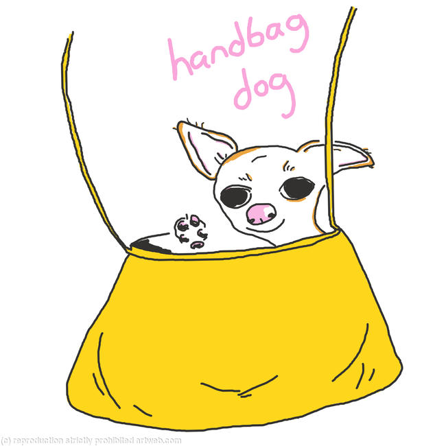 Handbag Dog