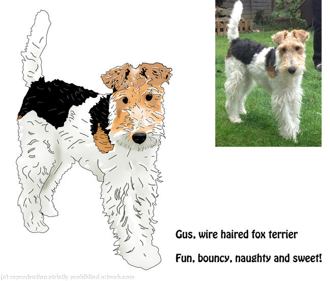Wire Haired Fox Terrier, Pet Portrait