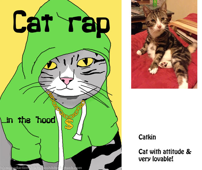 Catkin