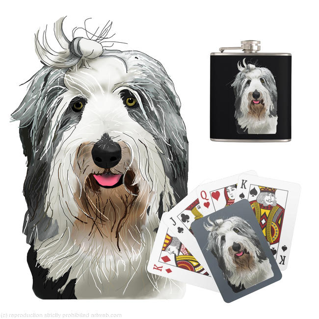 Bearded Collie