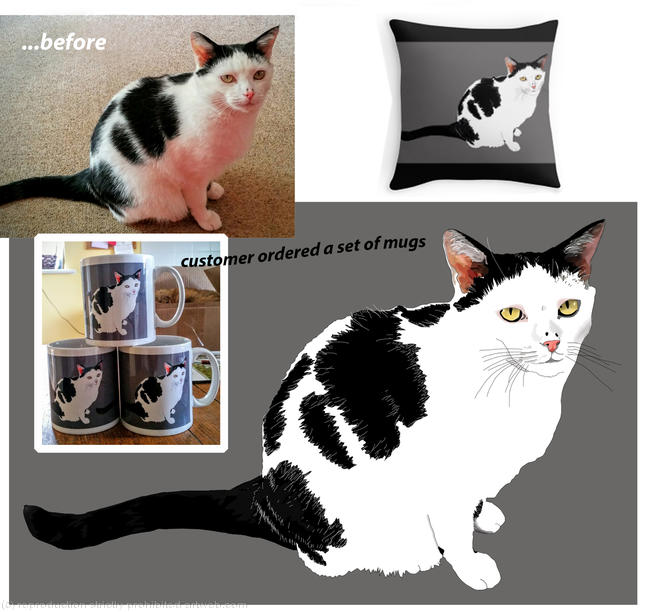 Bert The Cat