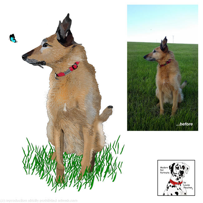 Medina, Lurcher
