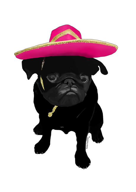 Pug