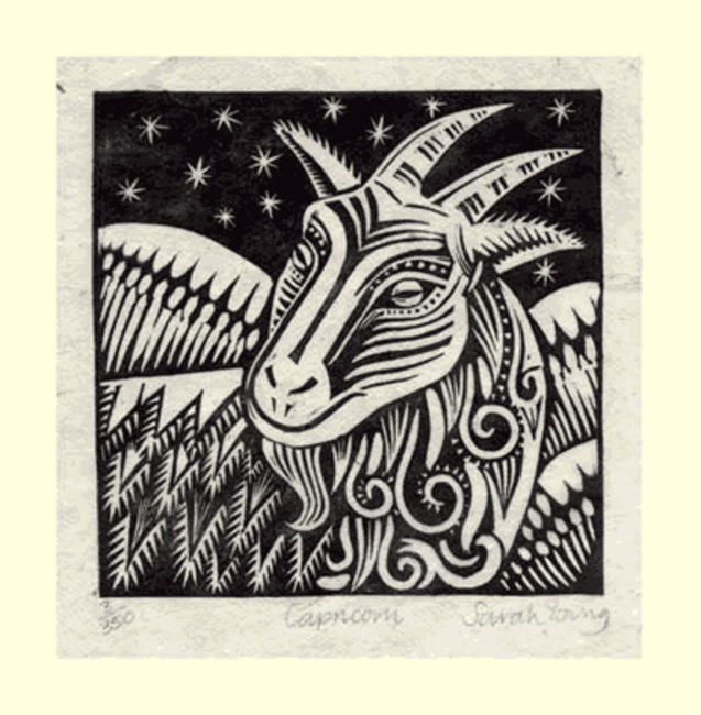 Capricorn (Dec22 - Jan19)