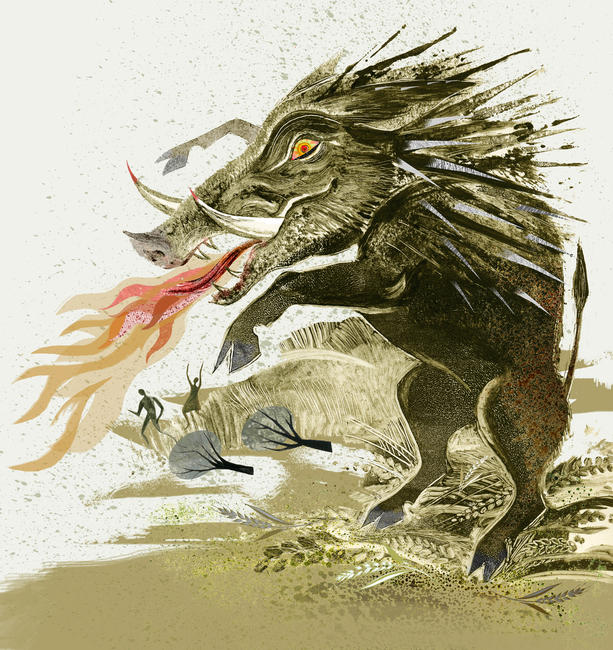 The Kalydonian Boar