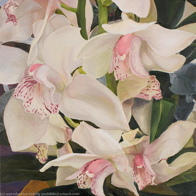 White Orchid at Noon
