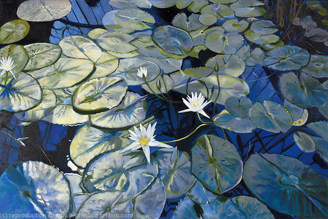 Blue Lily Pond