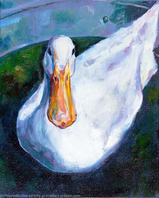 Duck in Tin Bath