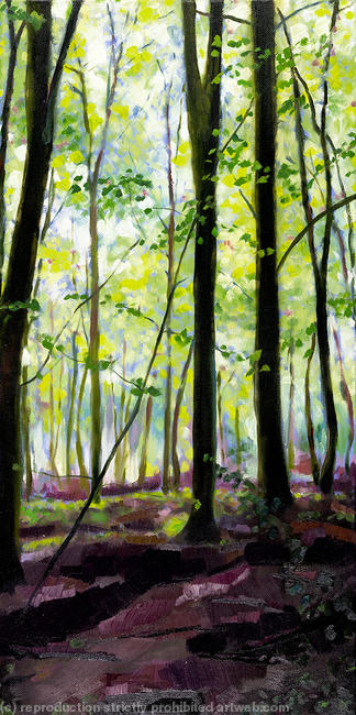Spring Beech Trees
