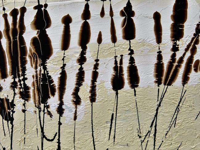 Musica Canna (Reed Music)