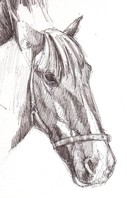 Horse 2