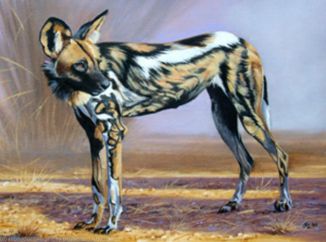 The Athlete - Hunting Dog
