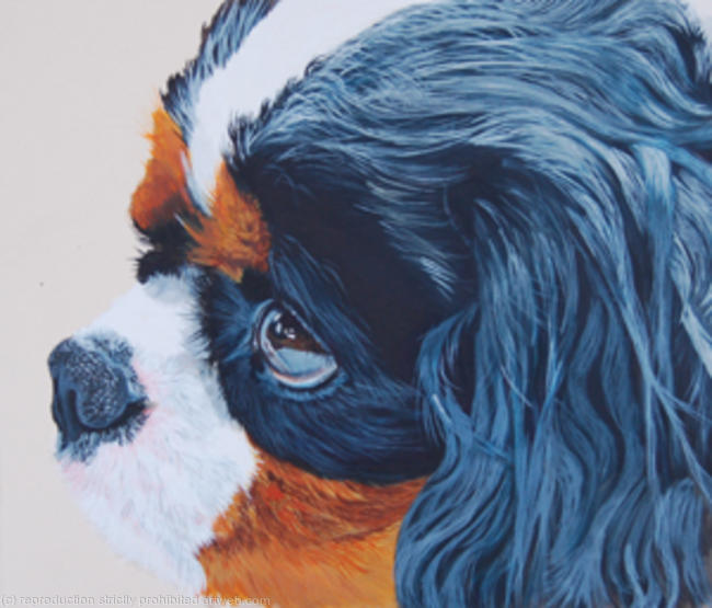 Julius - The Artist's Dog
