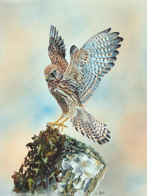 Precision Landing