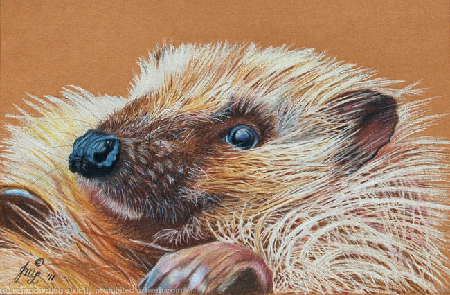 Laid Back Hog