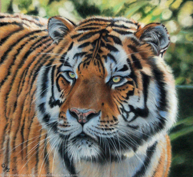 Regal Beauty