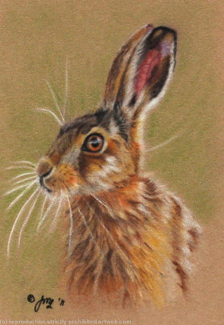 Hare
