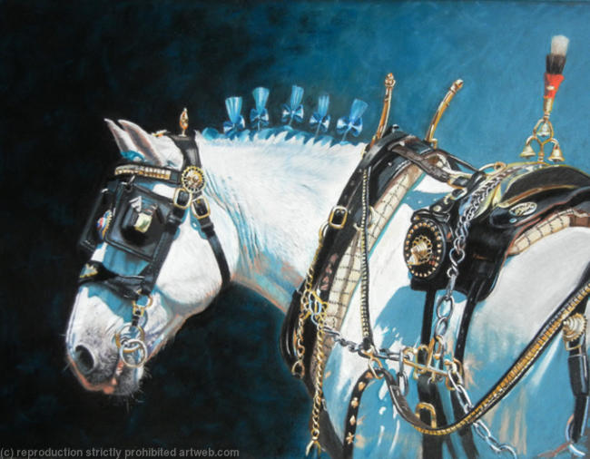 Buckles & Bows