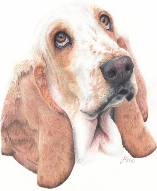Ellie-Mae