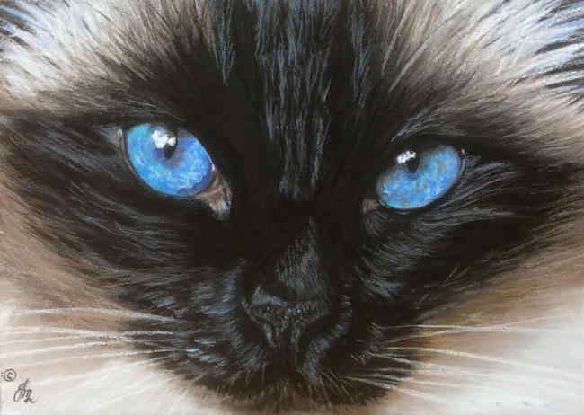 Mes-mer-eyesing