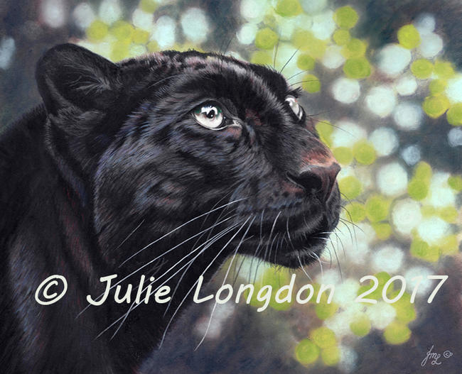 Black Panther