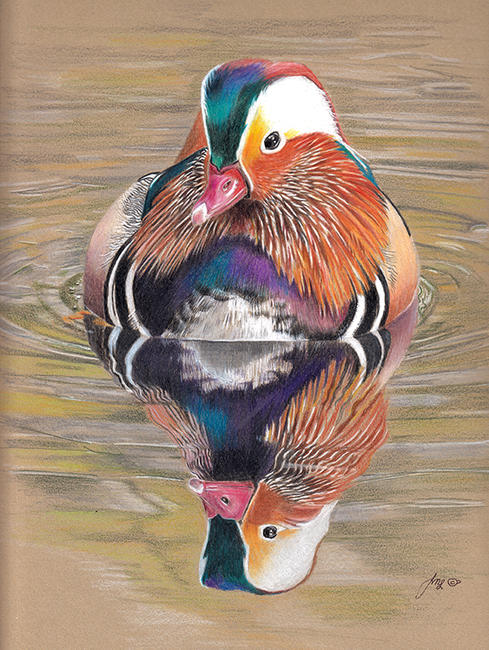 Mandarin Drake