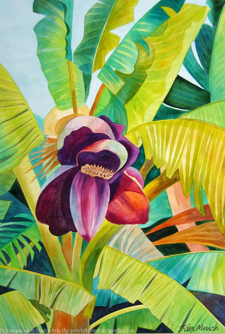 Banana Flower