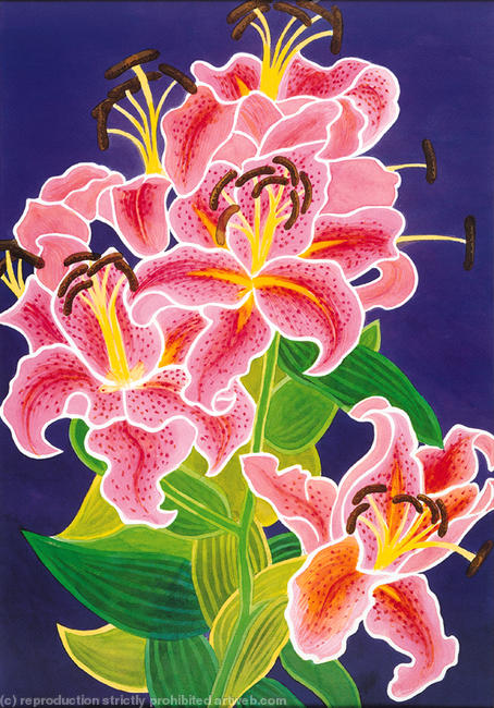 Lillies