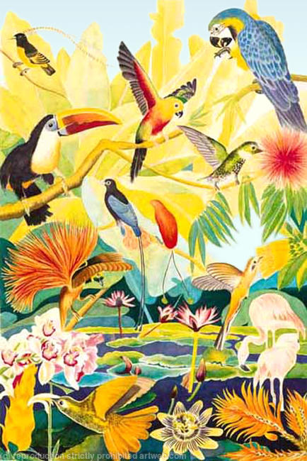 Birds in Paradise