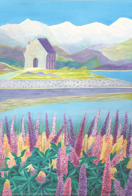 Tekapo Lupins