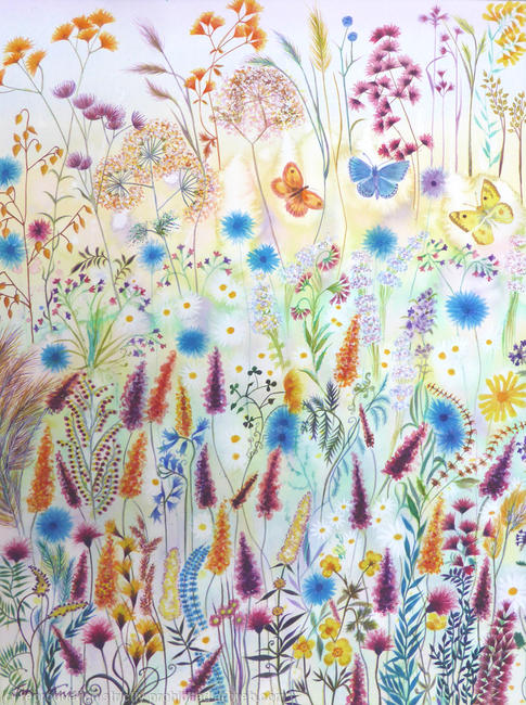 Butterfly Meadow
