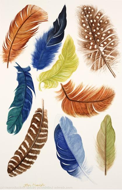 Feathers