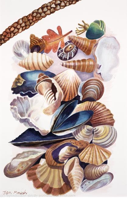 Beach Treasures