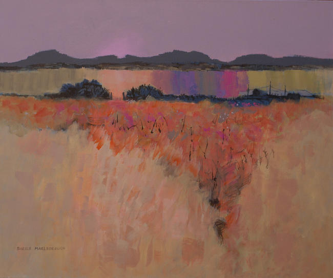 Pink Sky and Stripey Fields