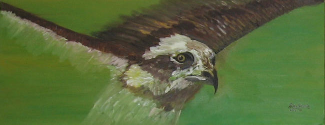 In flight