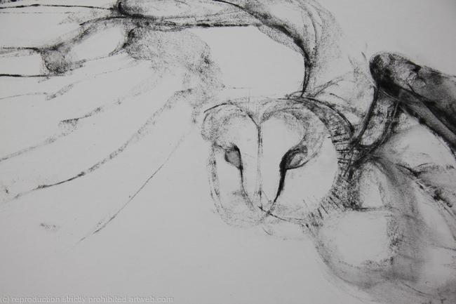 Wing, detail