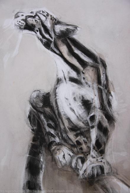 Cloud Leopard, detail