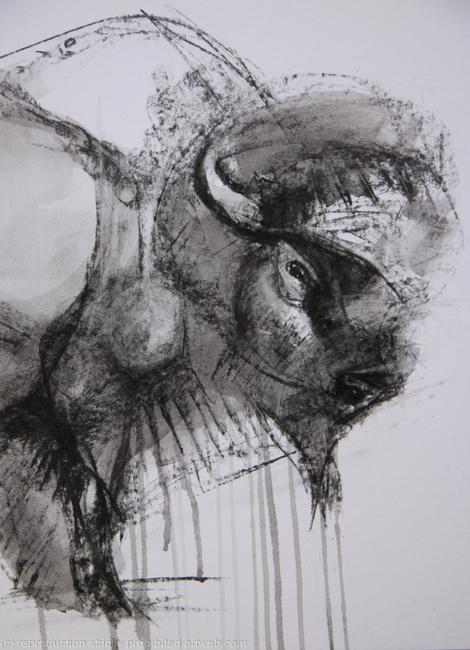 Buffalo.2, detail