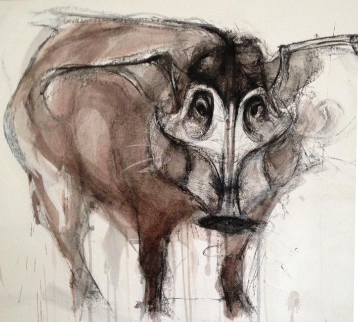 Red River Hog, detail.