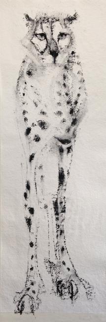 Cheetah, long