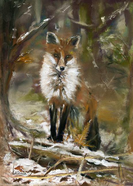 WINTER FOX
