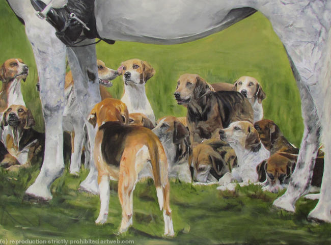 Grey and hounds