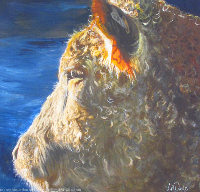 'Hereford sunrise'