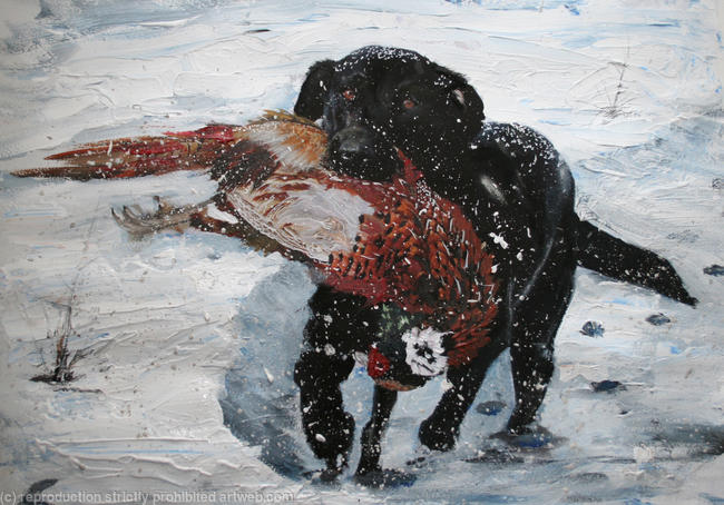 Picking up in the snow