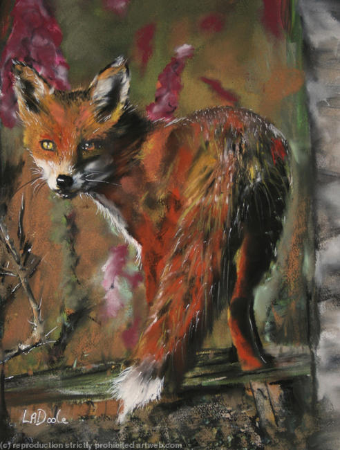 summer fox