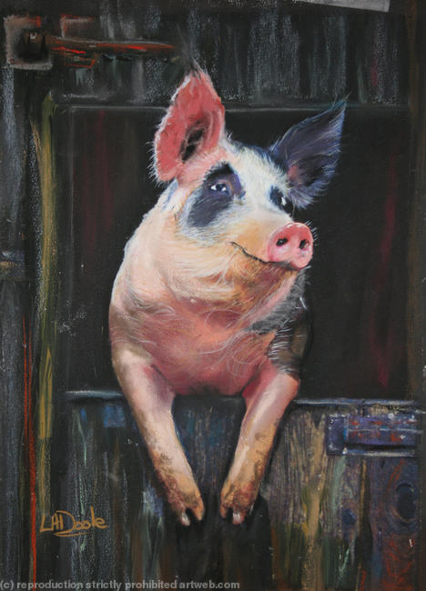Horace hog