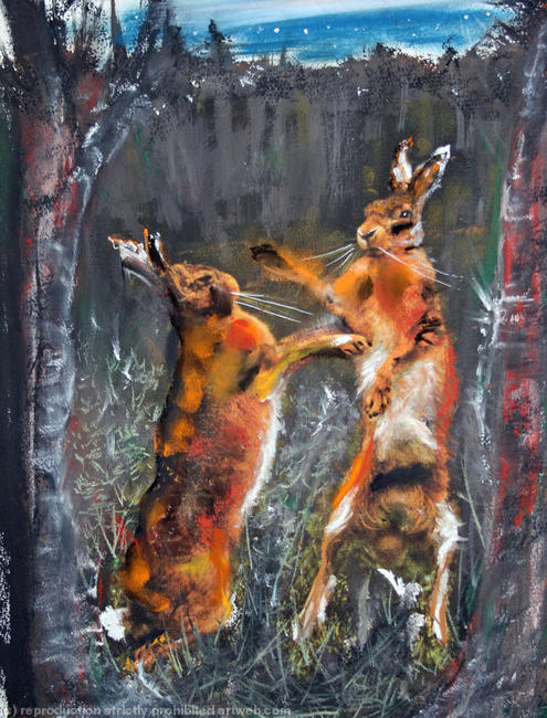 Moon hares