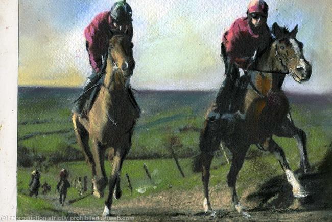 Denman and Kauo Star exercising