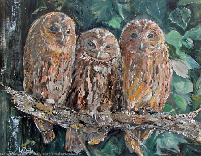 Tawny Trio