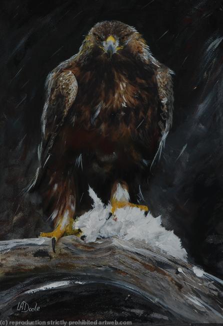 Golden Eagle with prey